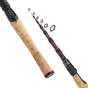 Best Backpacking Fishing Rod