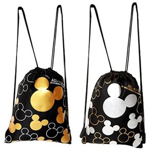Best Bags for Disney