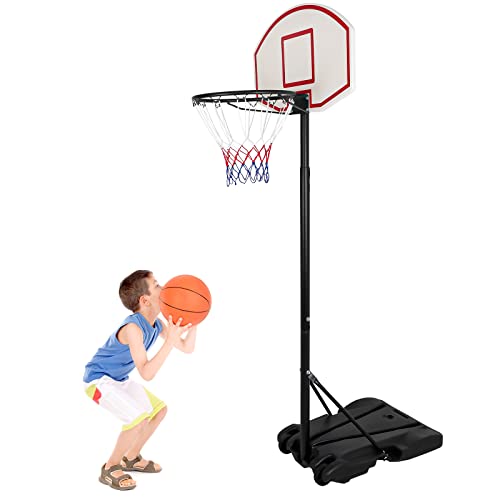 Best Basketball Hoop for Driveway Portable