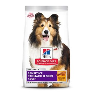 Best Dog Food for Huskies With Sensitive Stomach