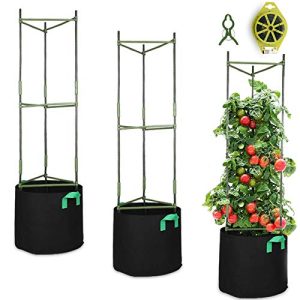 Best Grow Bags for Tomatoes