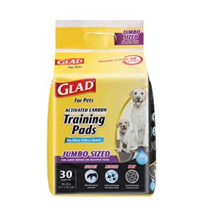 Best Pee Pads for Senior Dogs