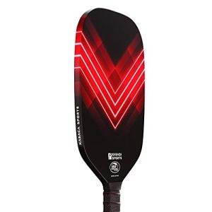 Best Pickleball Paddle for Tennis Players