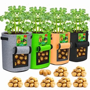Best Potato Growing Bags