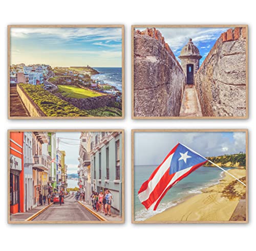 Best Puerto Rican Art Collections in the Us