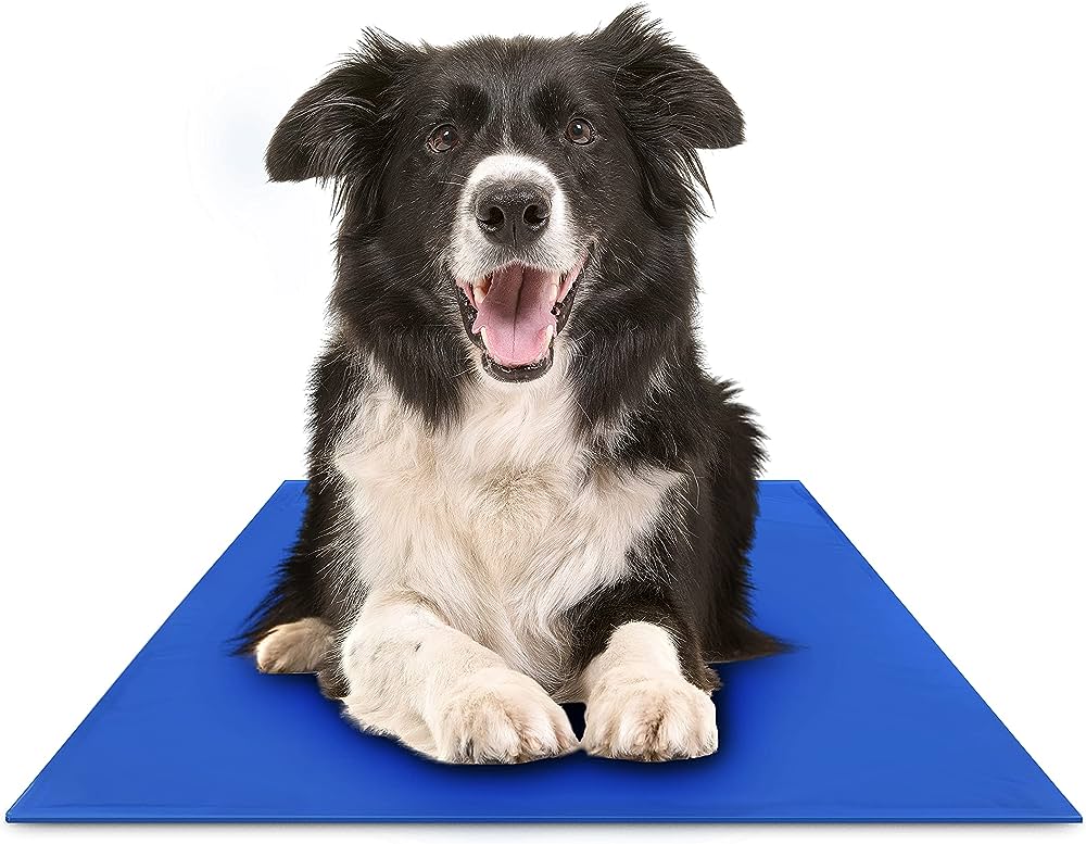 Dog Traction Pads