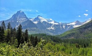 Glacier National Park Guided Tours: Your Expert Partners for Park Exploration