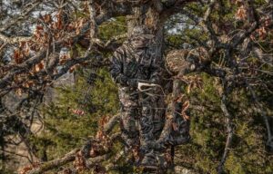 Guide Gear Tree Stand: Your Expert Companion for Tree Stand Hunting