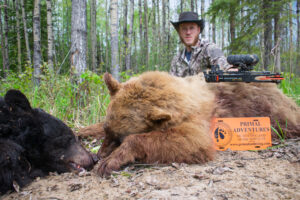Guided Black Bear Hunts: Navigating Hunting Adventures