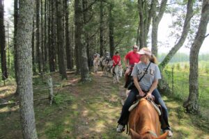 Guided Horseback Riding Near Me: Exploring Equestrian Adventures