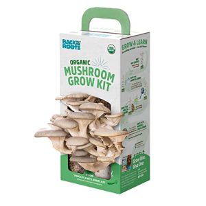 How to Grow Mushrooms at Home Without Spores