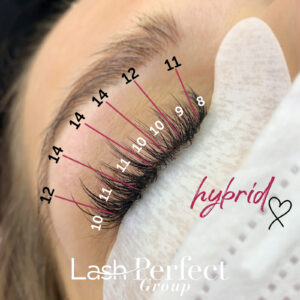Lash Map Guide: Enhancing Eyelash Extensions