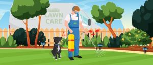 Mr Green Lawn Care Reviews