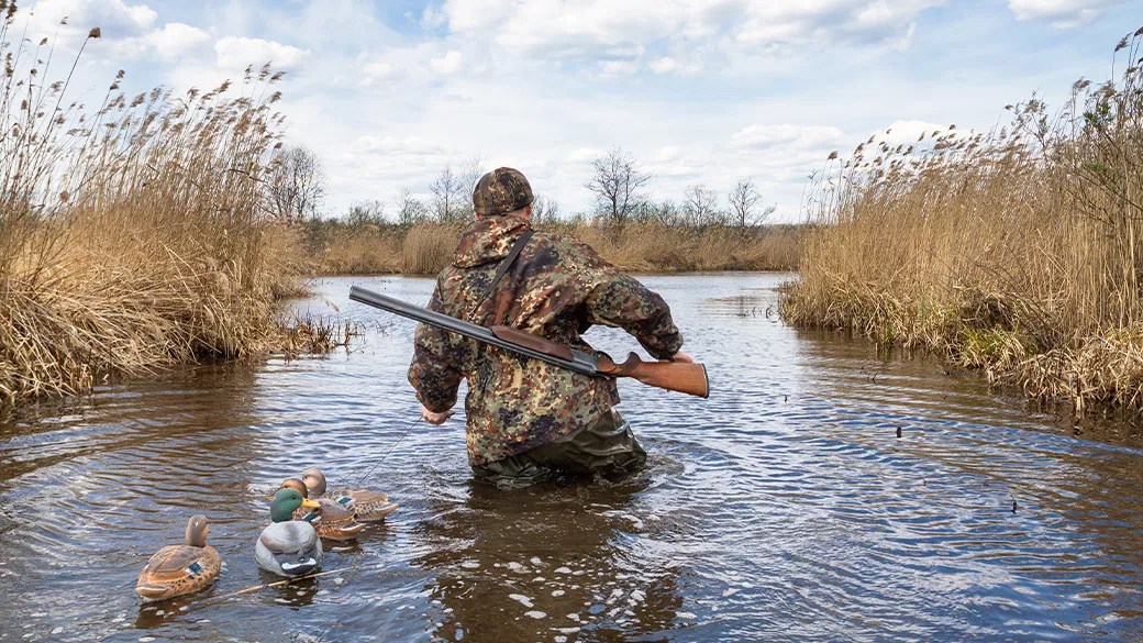 Nc Duck Hunting Guides: Your Expert Partners for Duck Hunting