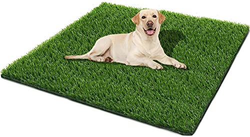 Outdoor Pee Pad for Dogs