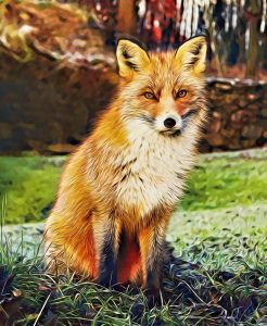Red Fox Baggers Reviews