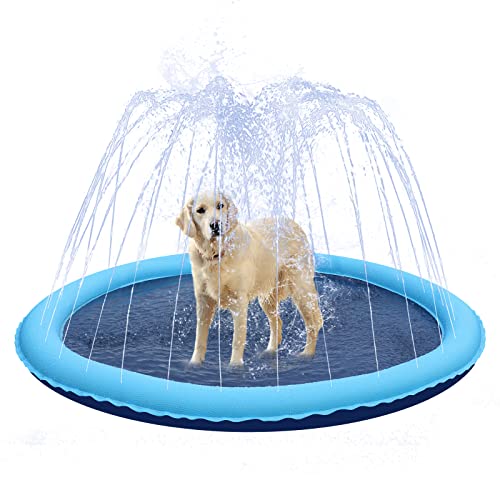 Splash Pads for Dogs
