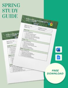 Study Guide Template Google Docs: Excelling in Educational Planning