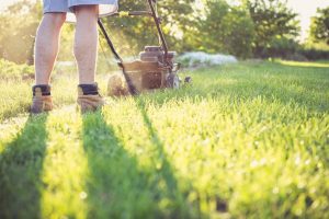 Trugreen Lawn Care Jacksonville Reviews