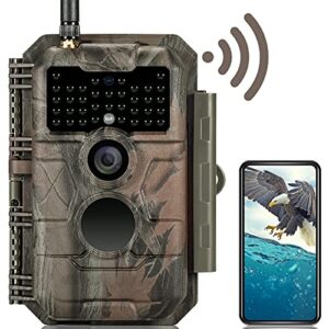 Visualizing the Wild: Best Cameras for Hunting