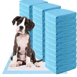 Xl Dog Pads 150 Count