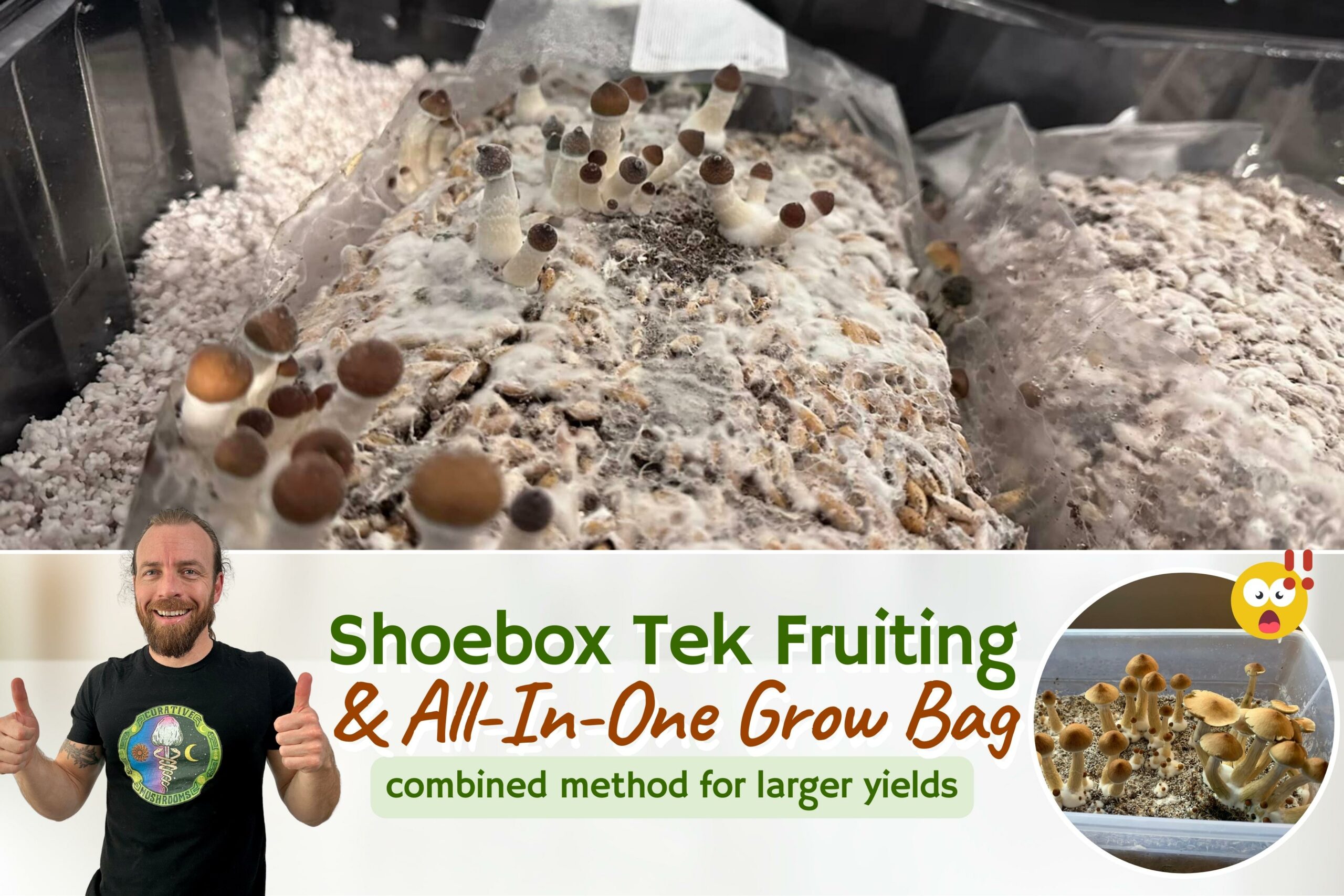 All in One Mushroom Grow Bag Fruiting