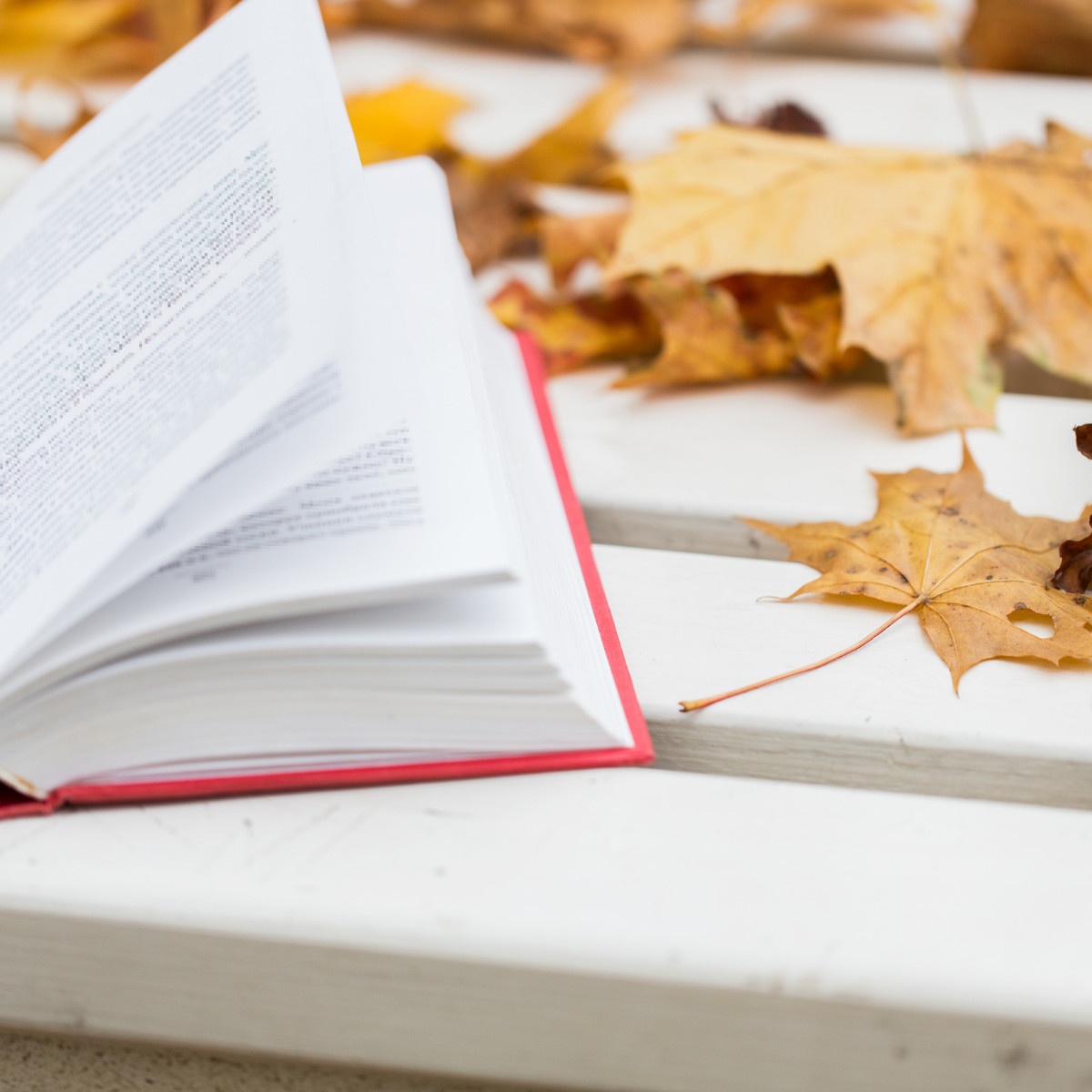 Best Books for Fall
